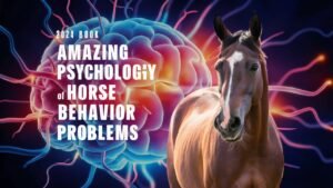 Horse Behavior 